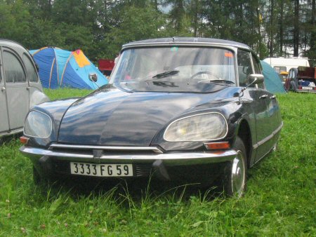 This perfectly normal looking DS Pallas was standing behind our tent at the
