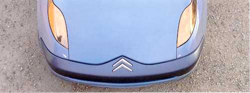 images/Xanae_pic62.jpg (82952 bytes)